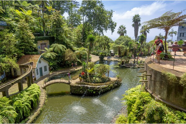 Aventură pe Insula Madeira